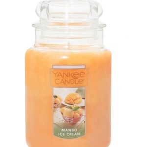 Yankee candle 20oz single wick Jar